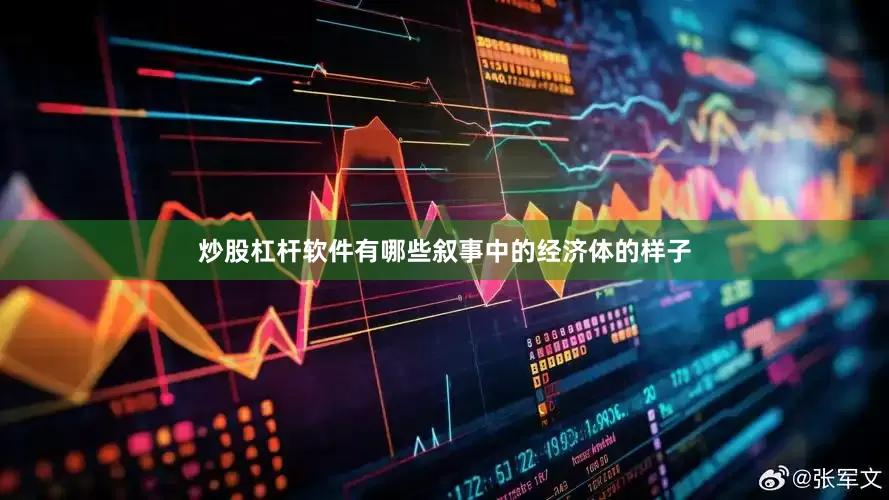 炒股杠杆软件有哪些叙事中的经济体的样子