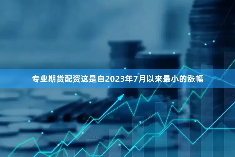 专业期货配资这是自2023年7月以来最小的涨幅
