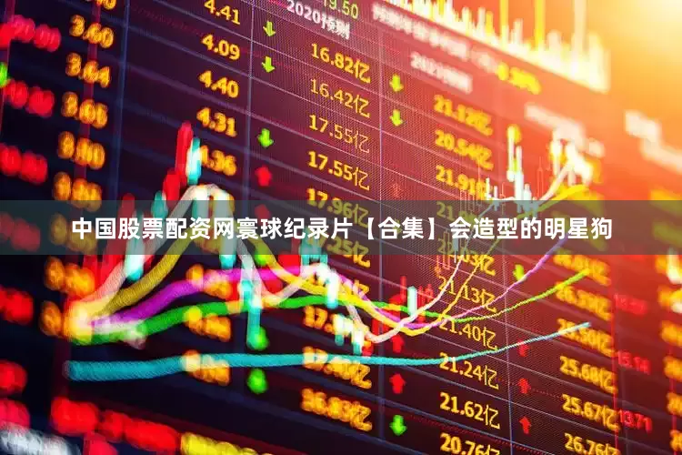 中国股票配资网寰球纪录片【合集】会造型的明星狗